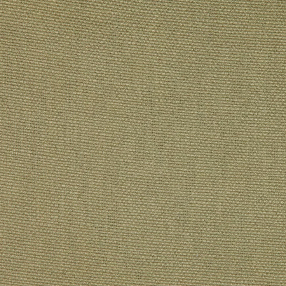 Bamboo Solid Canvas