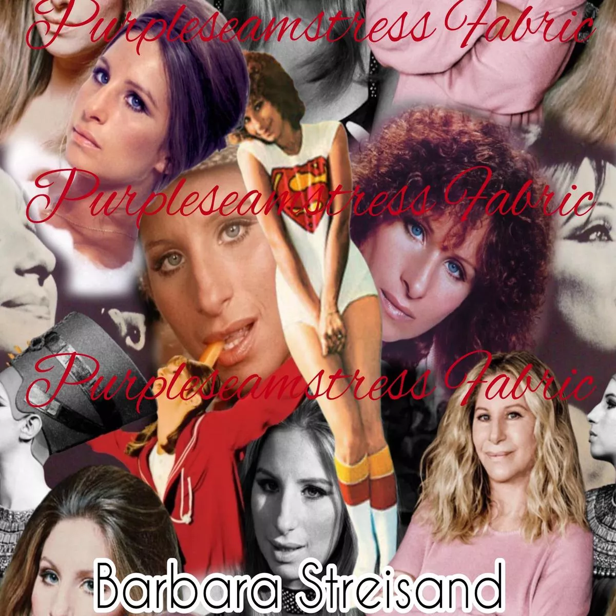 Barbara StreisandFabric