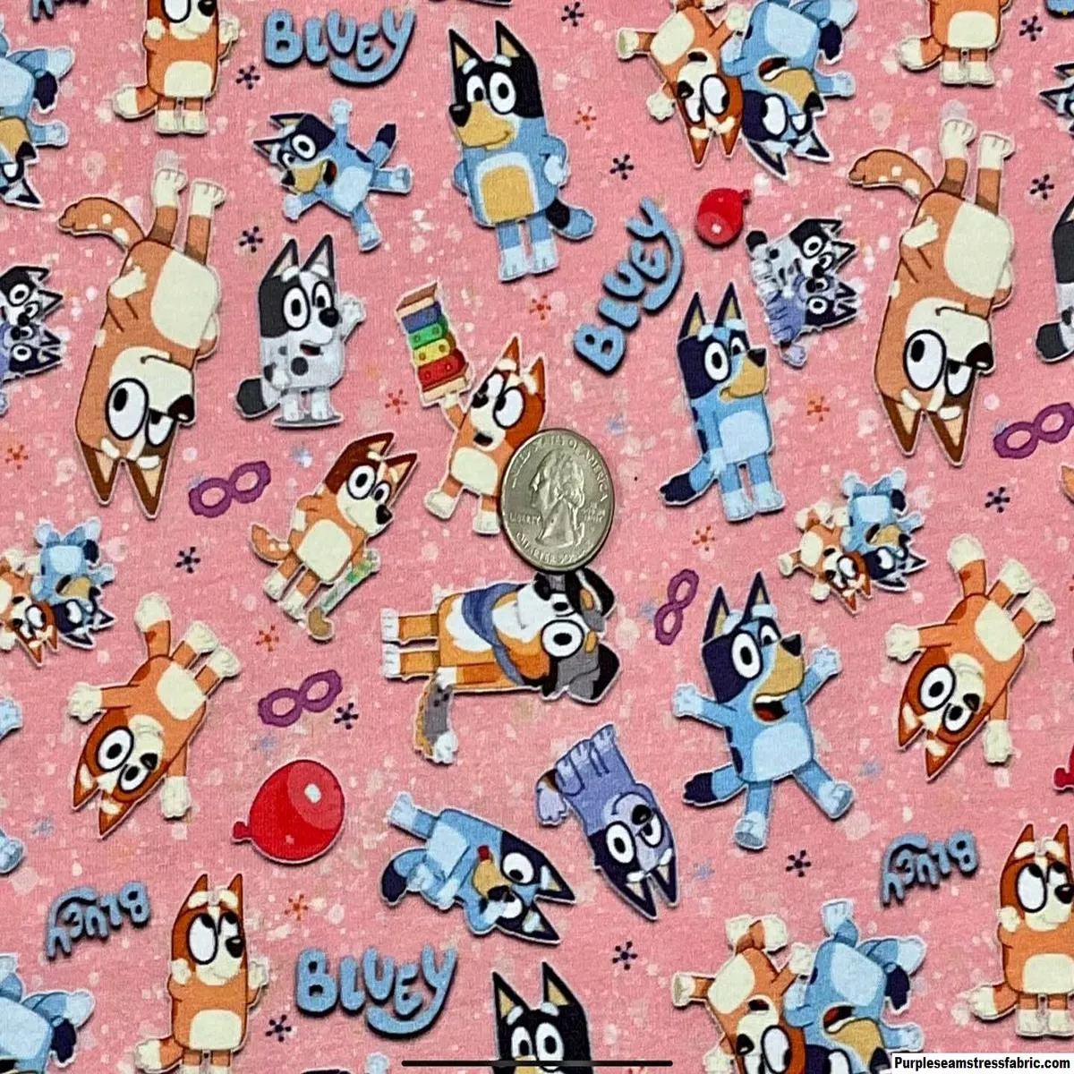 Bluey on PinkFabric