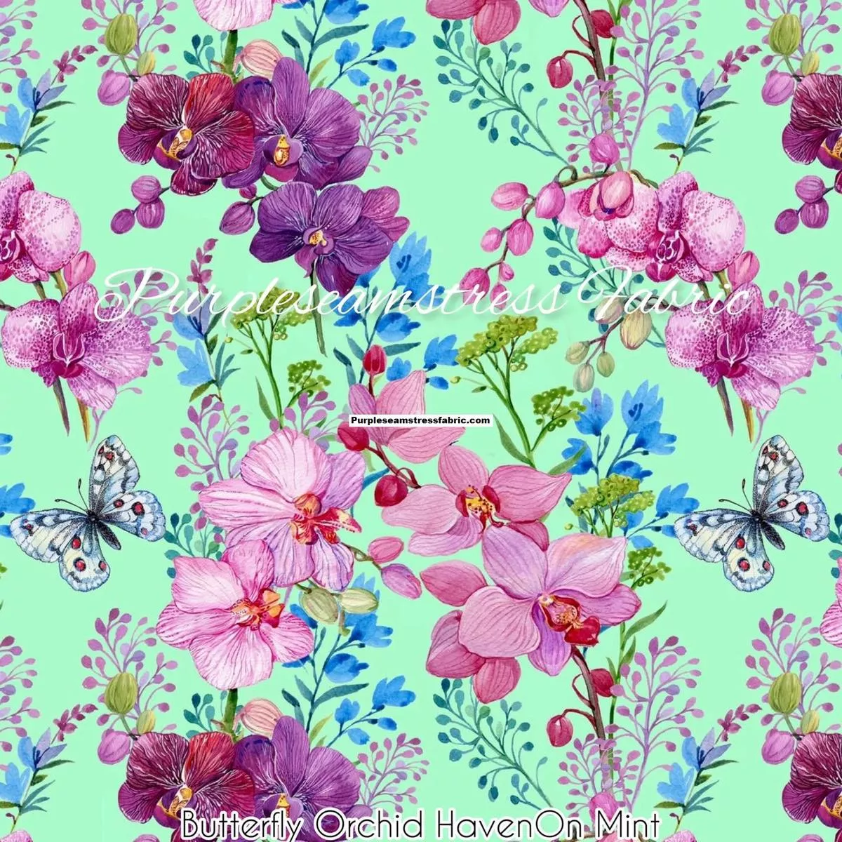 Butterfly Orchid Haven On MintF…