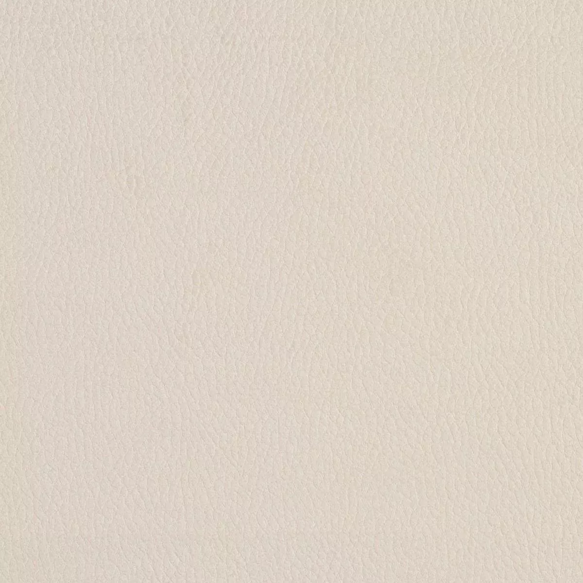 Charlotte – 2922 – Eggshell – Fabric by the Yard – Eggshell