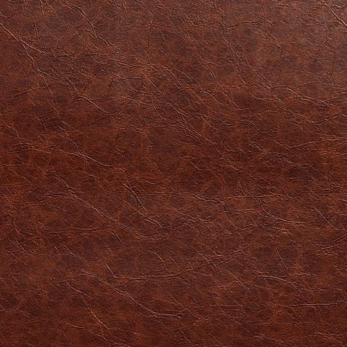 Charlotte – 8293 – Adobe – Fabric by the Yard – Adobe