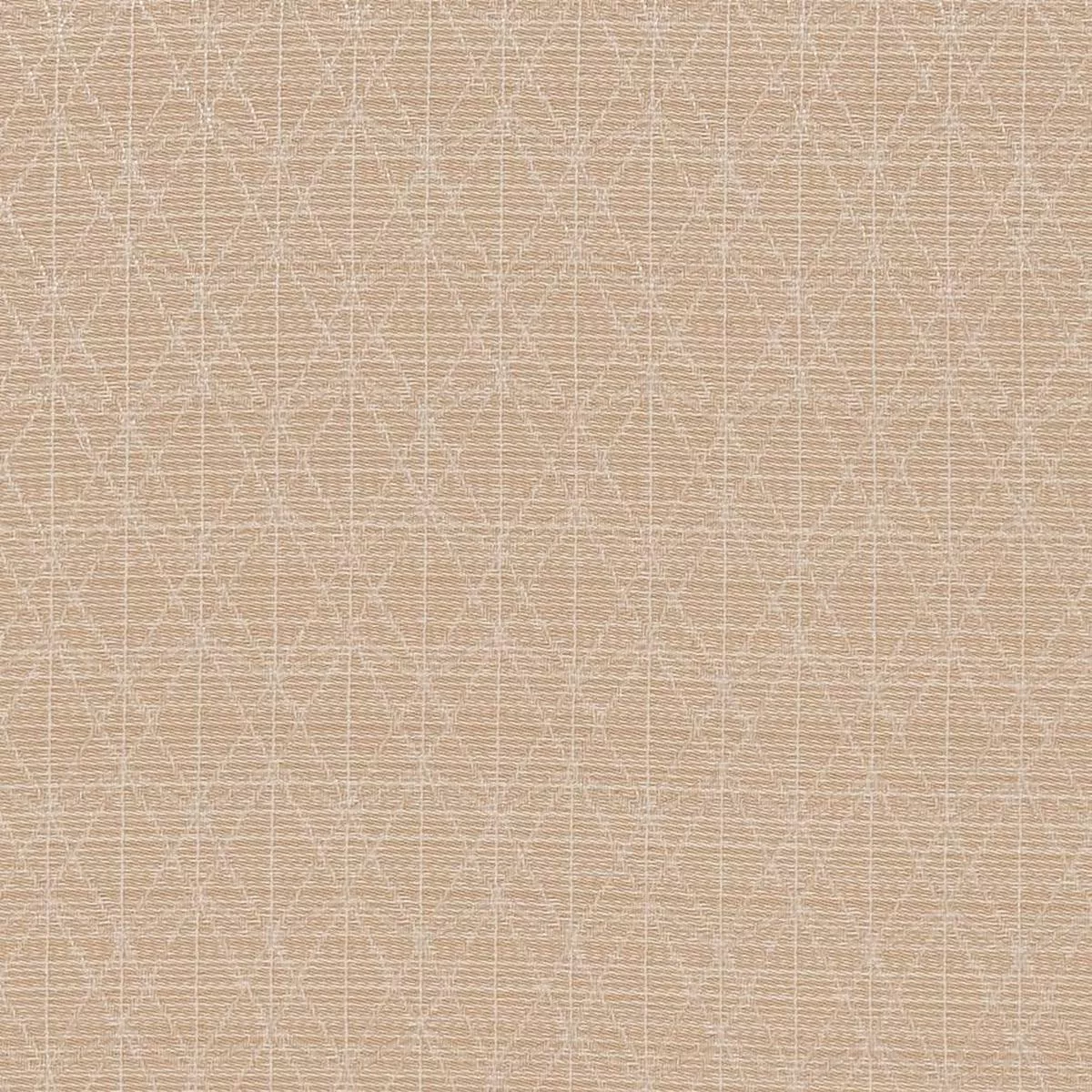 Charlotte – CB700-389 – Fabric by the Yard – CB700-389
