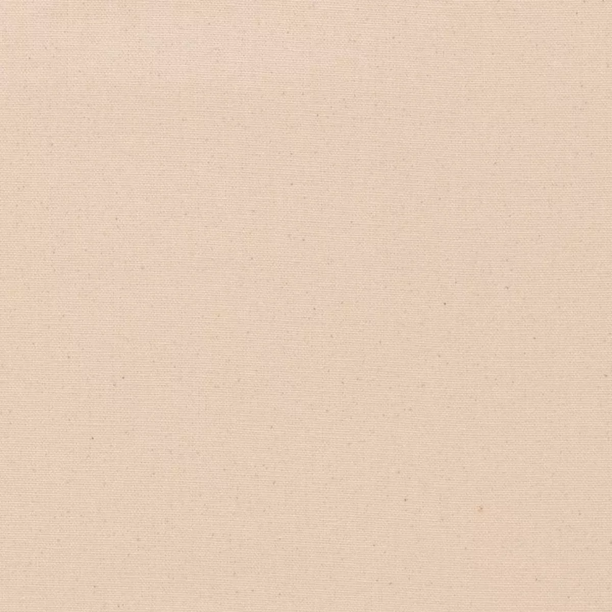 Charlotte – D1260 – Eggshell – Fabric by the Yard – Eggshell
