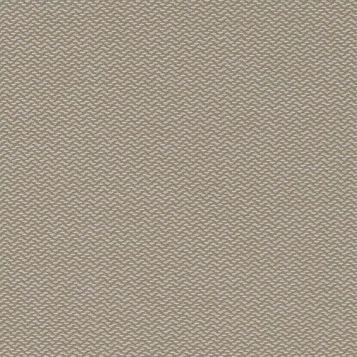 Charlotte – D1625 – Cloud – Fabric by the Yard – Cloud
