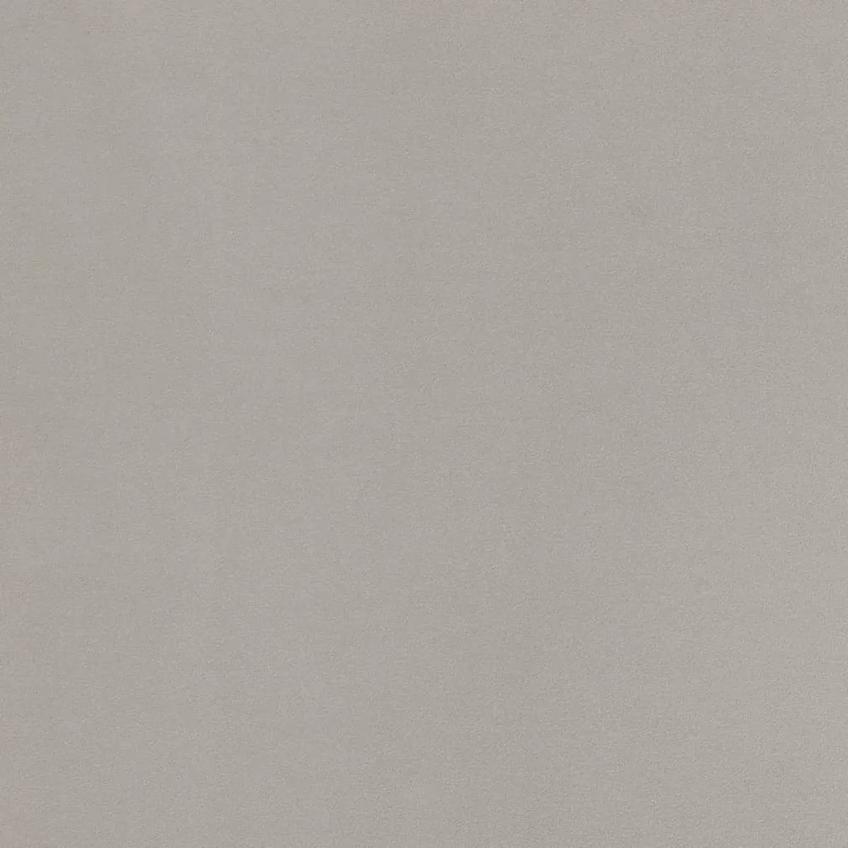 Charlotte – D2100 – Silver – Fabric by the Yard – Silver