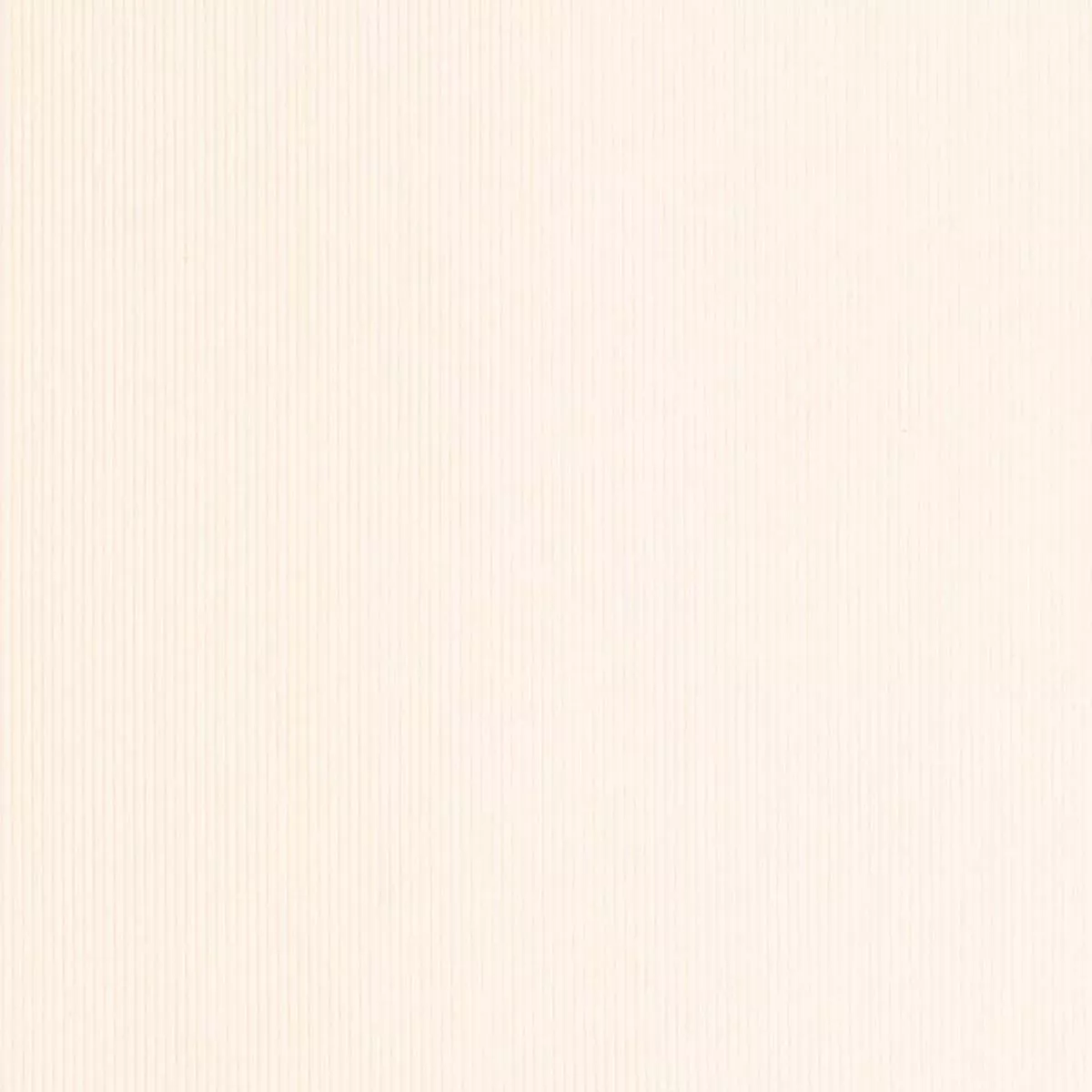 Charlotte – D3885 – Eggshell – Fabric by the Yard – Eggshell