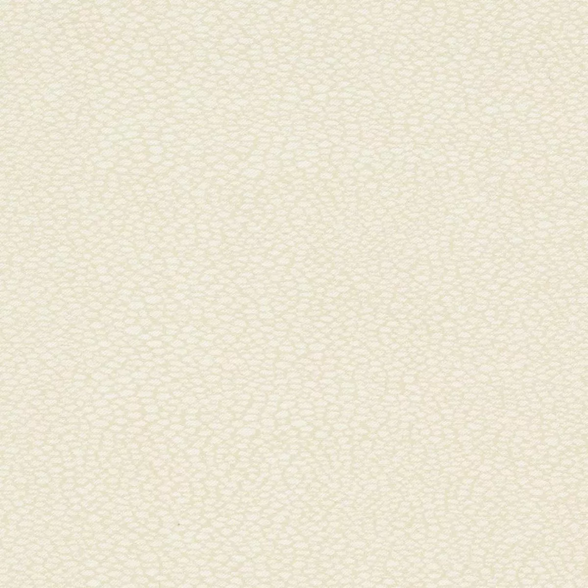 Charlotte – D895 – Pebble/Buff – Fabric by the Yard – Pebble/Buff