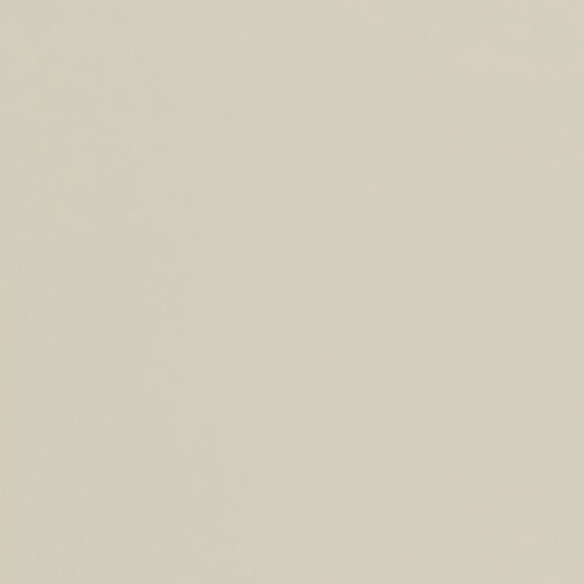 Charlotte – V456 – Seashell – Fabric by the Yard – Seashell