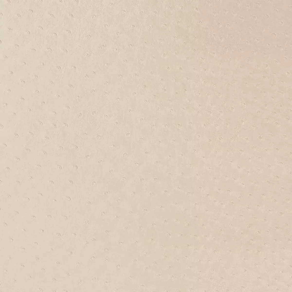 Charlotte – V596 – Parchment – Fabric by the Yard – Parchment