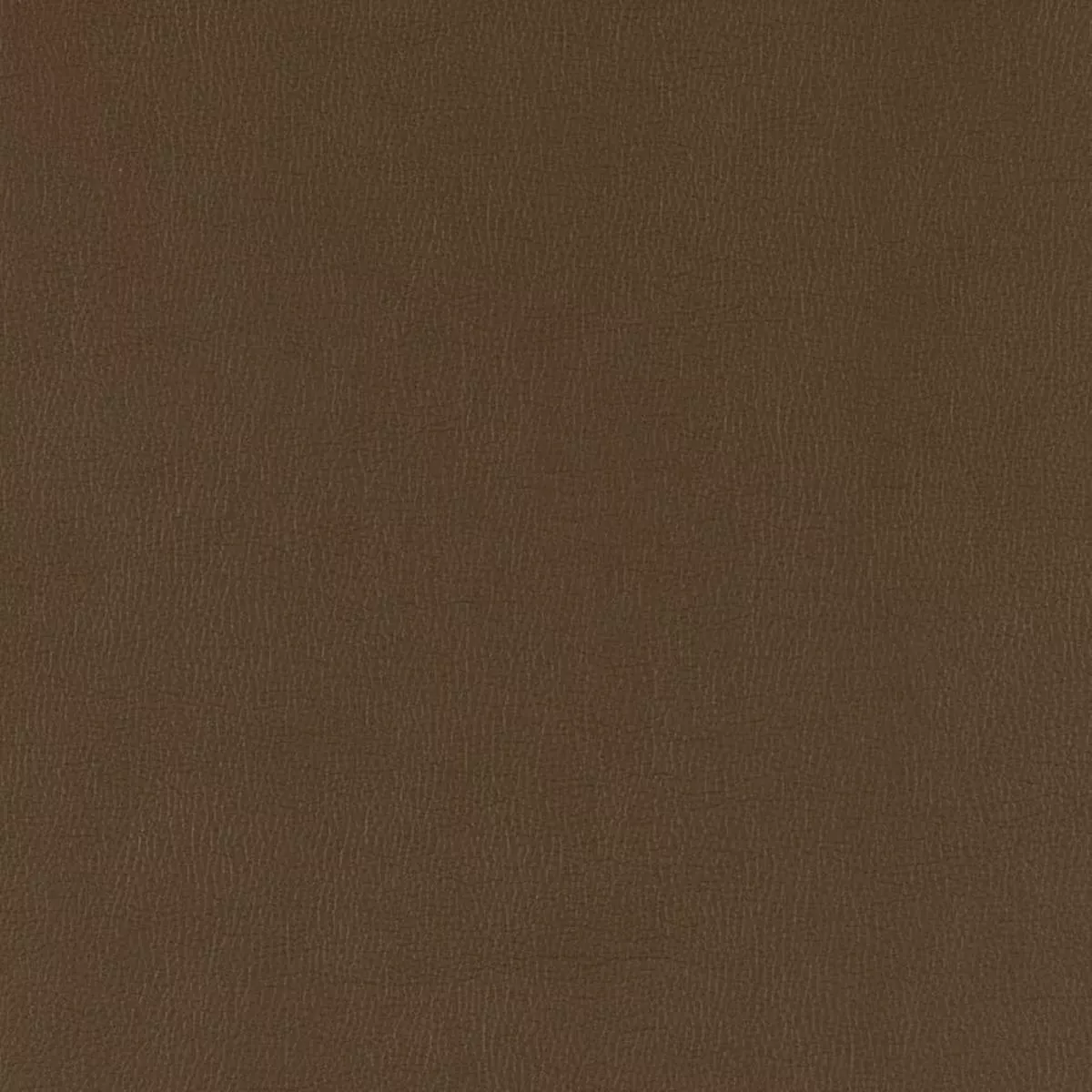 Charlotte – V785 – Java – Fabric by the Yard – Java