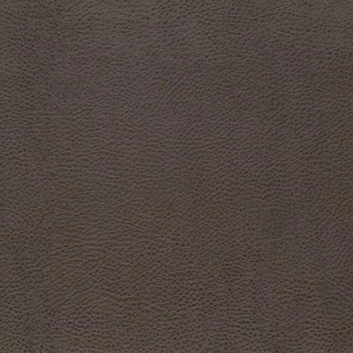 Charlotte – V876 – Graphite – Fabric by the Yard – Graphite