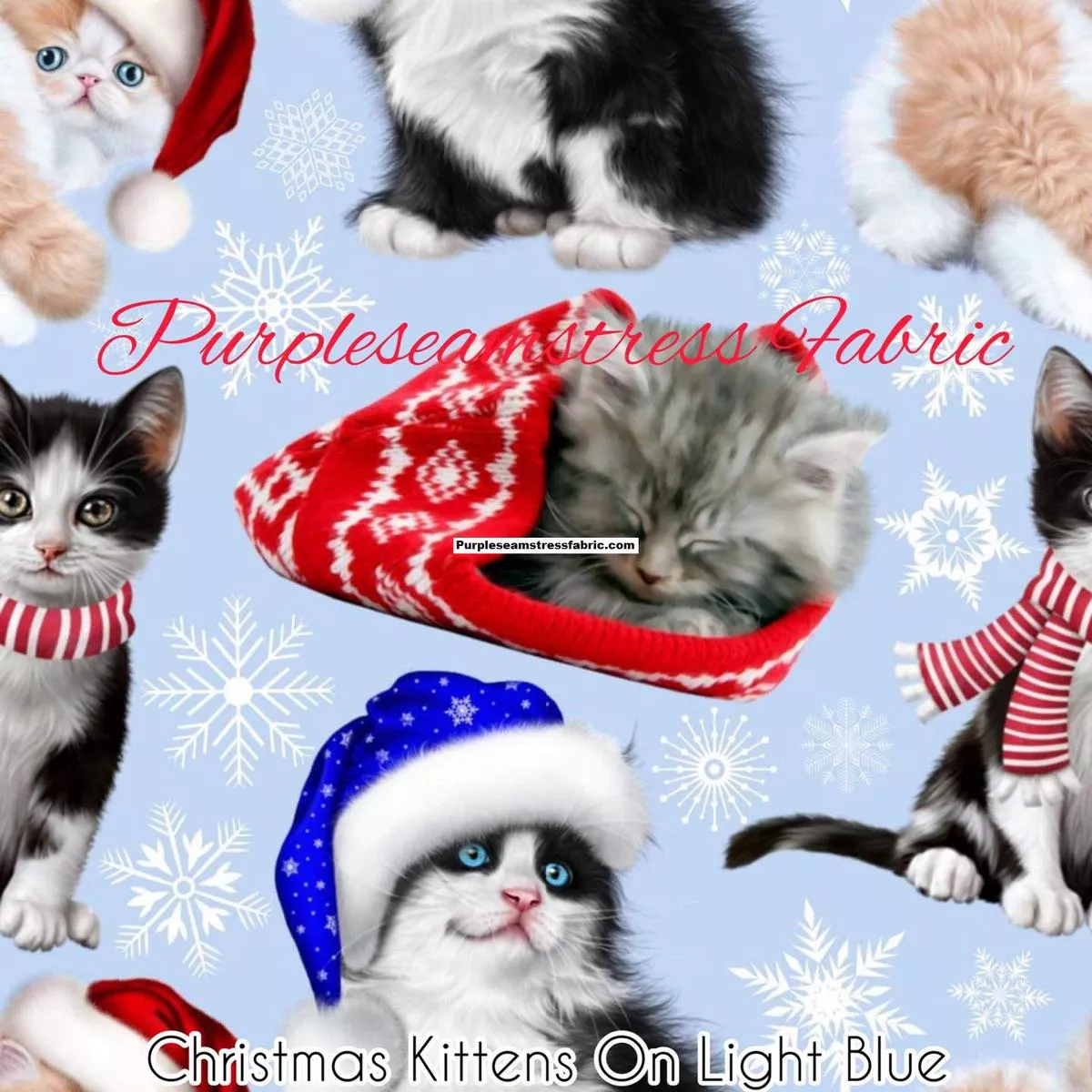 Christmas Kittens on Light Blue…
