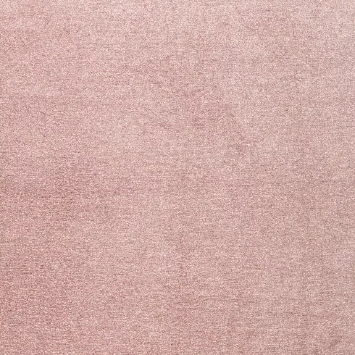 CLARKE AND CLARKE – MACULO- BLUSH – Fabric by the Yard – BLUSH