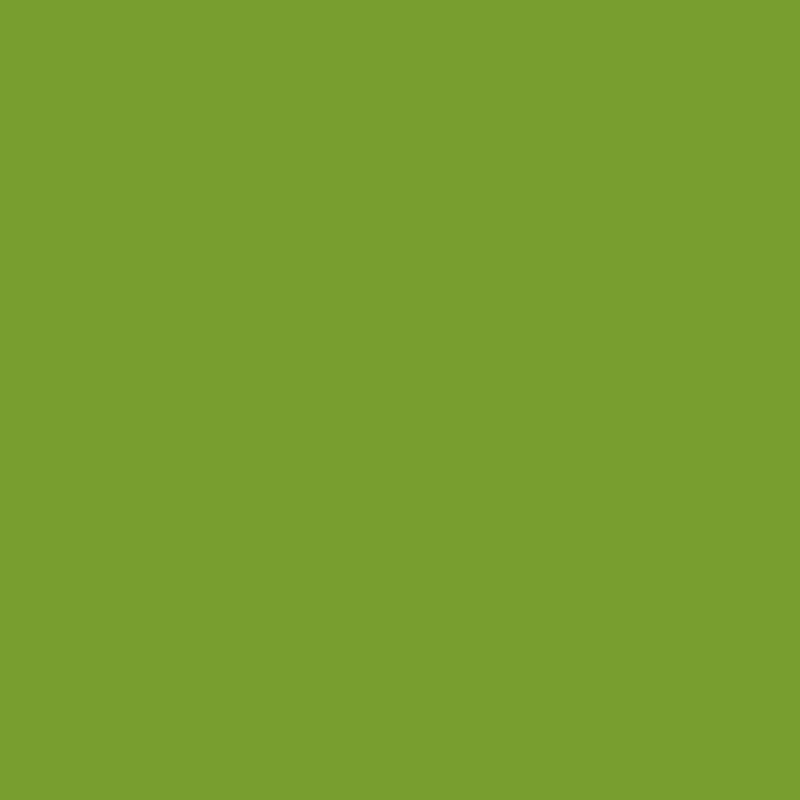 Confetti Cottons Solids Fabric – Holly