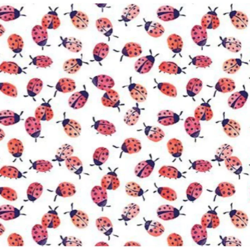 Dear Stella – Spring It On – Lady Bugging – 1/2 YARD CUT