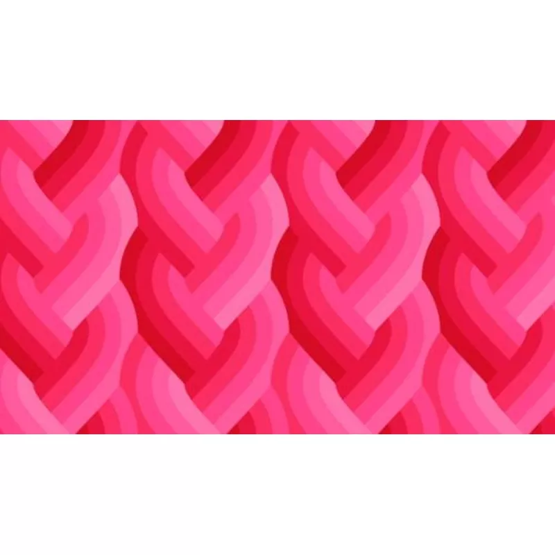 Echo Braid in Dark Pink by Emily Van Hoff for Moda