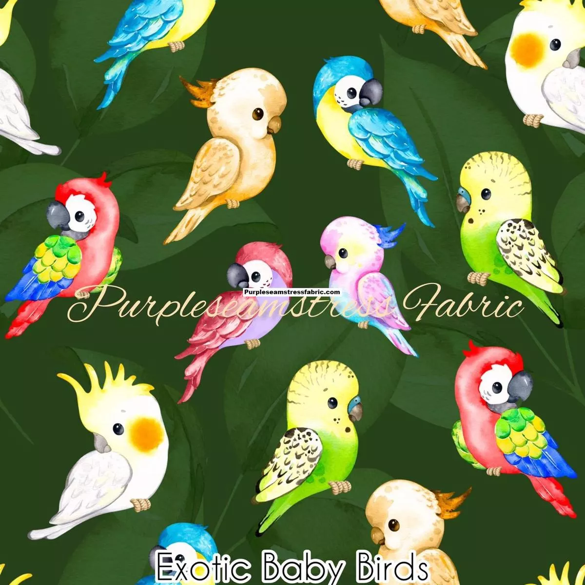 Exotic Baby BirdsFabric