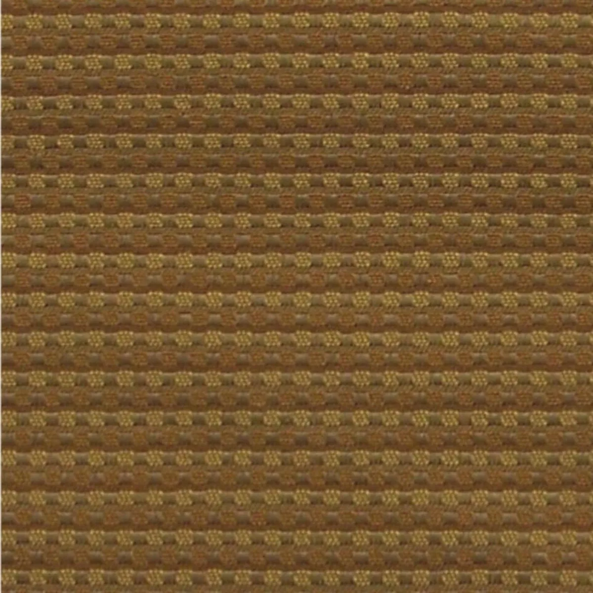 Fabric Remnant of Niche Maize