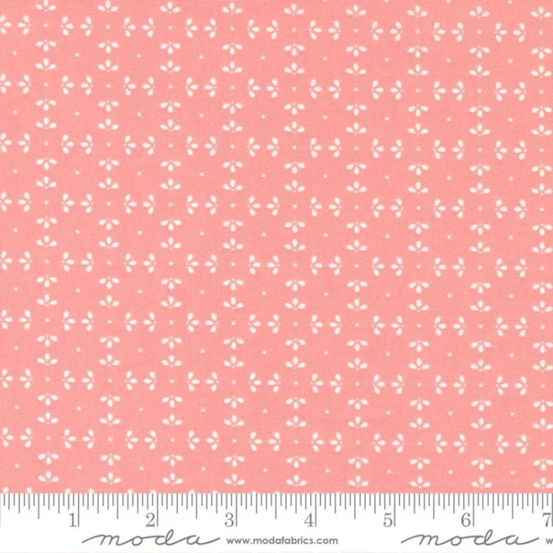 Favorite Things Blush 37655 22