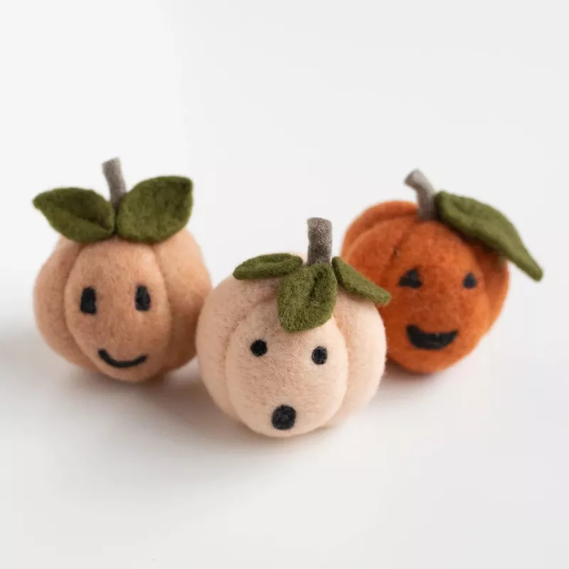 Felted Pumpkin Friends – September Class
