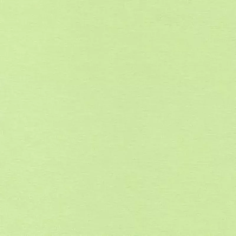 Flannel SolidSweet Pea | Cotton Flannel