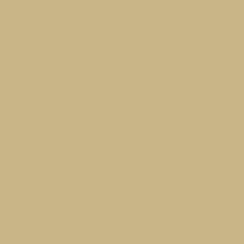 Flannel SolidTan | Cotton Flannel