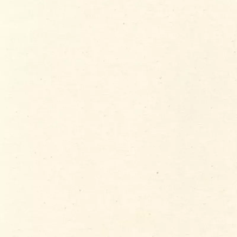 Flannel SolidUndyed Natural | Cotton Flannel