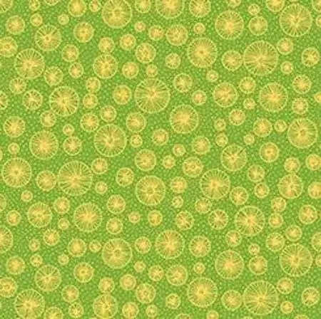 Flowerful – Linear Circles – Green