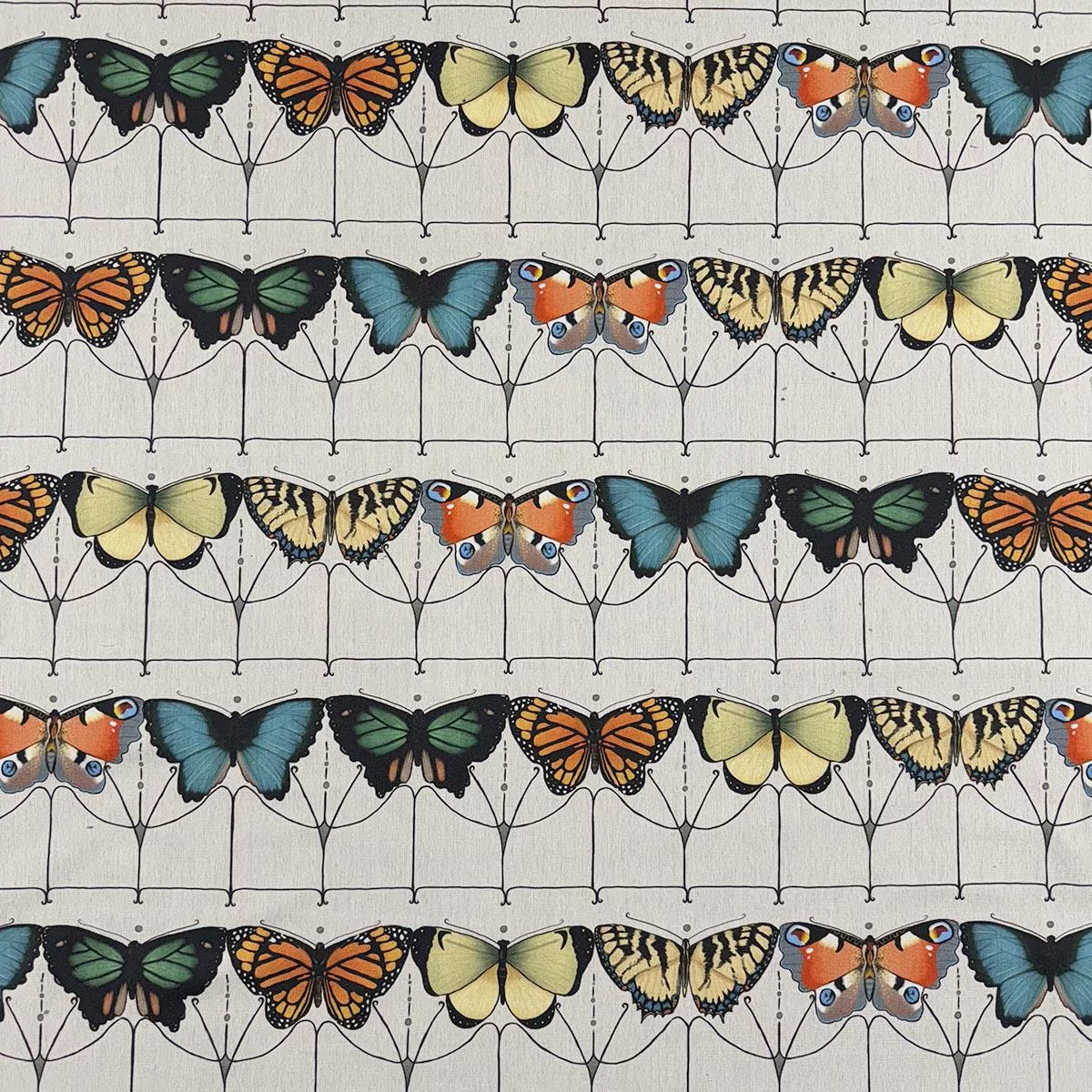 FLUTTER – CHROMATIC – Mag Fabrics – Fabric By The Yard – CHROMATIC
