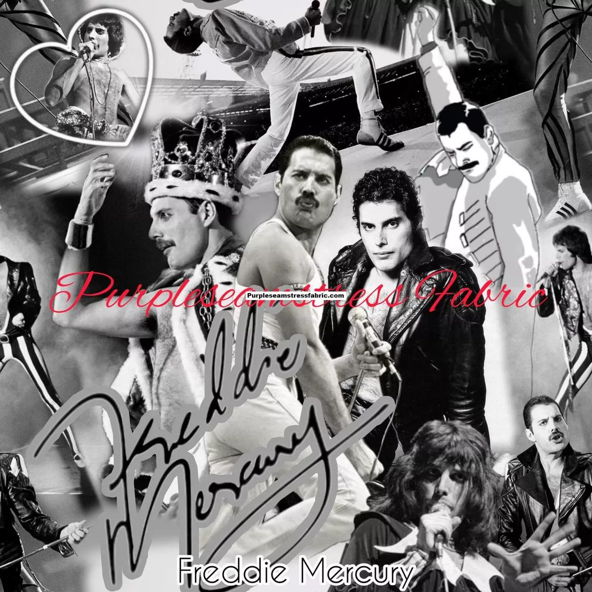 Freddie MercuryFabric