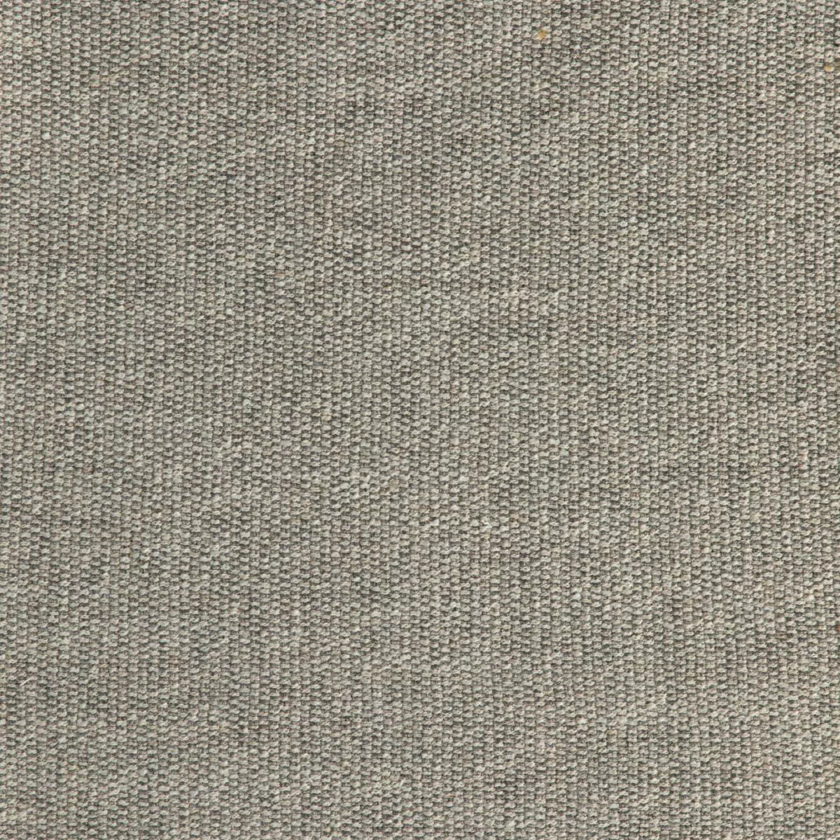 Gabby CROSS STITCH FLAX – Fabric by the Yard – Samples Available Upon Request – Flax
