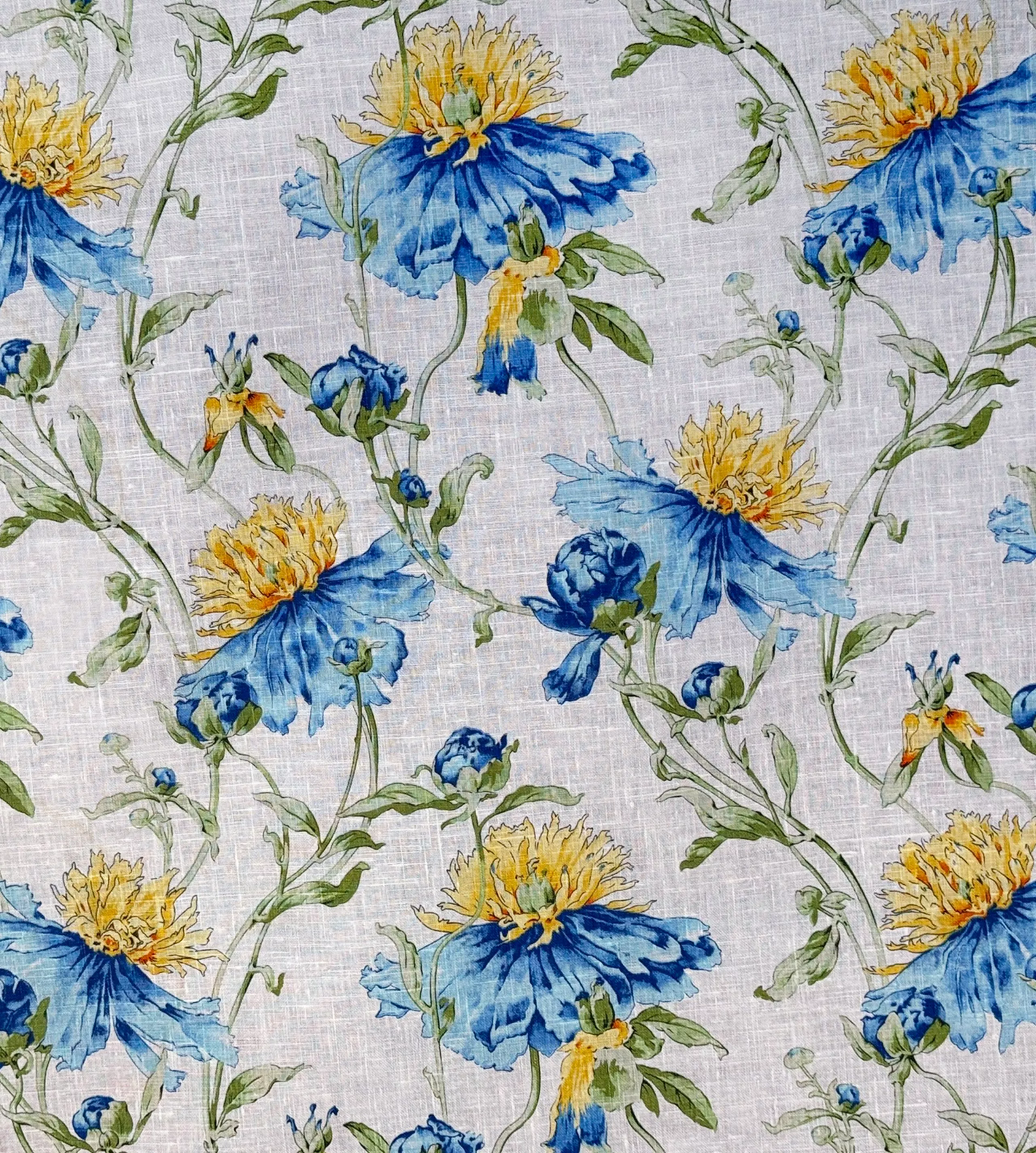 GRANDIFLORA – DENIM BLUE