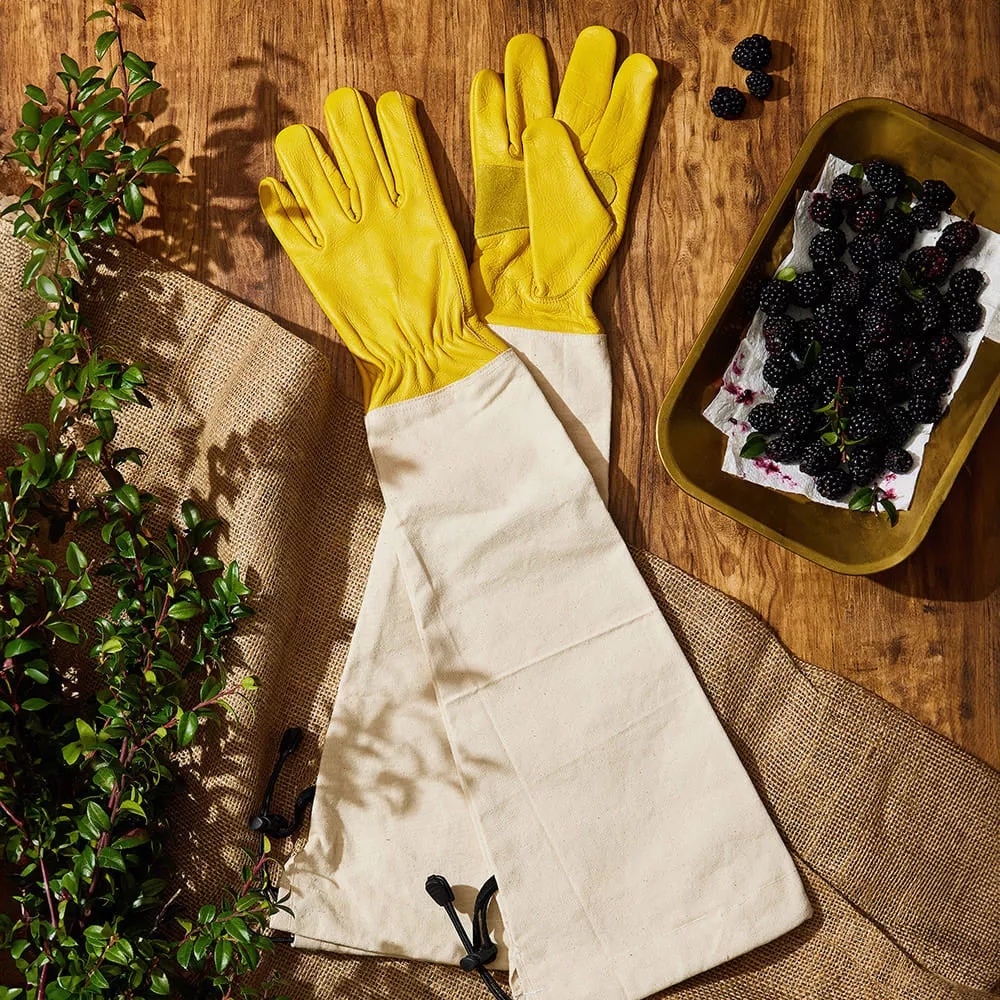 Heavy-Duty Bramble Gloves With Integrated Arm Guards – Small