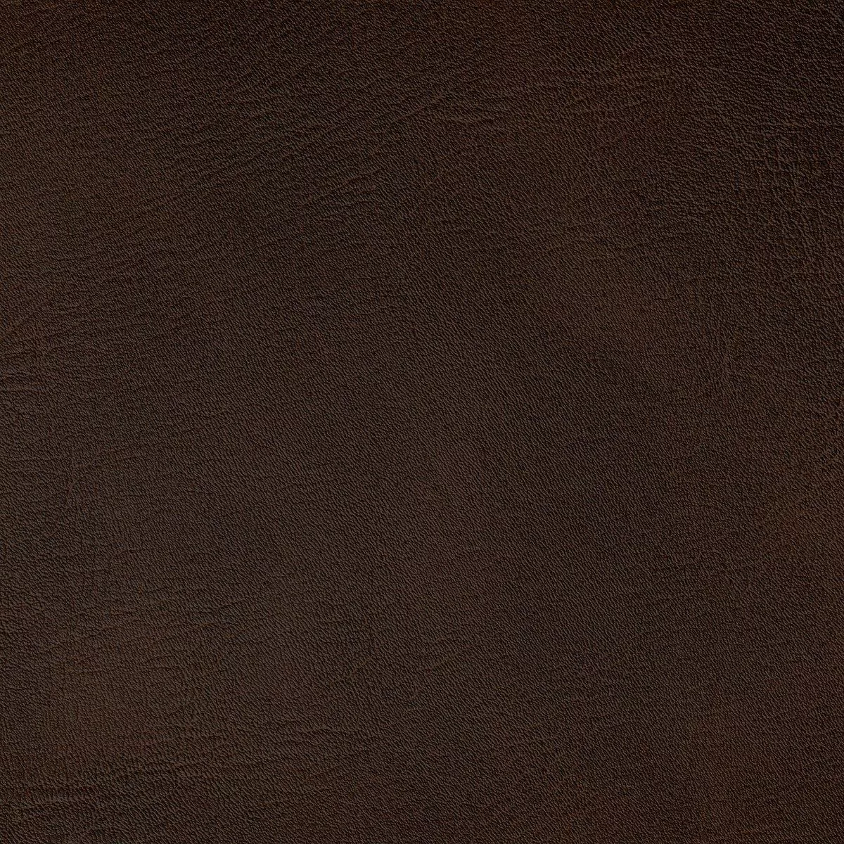 KRAVET CONTRACT – SPUR- JAVA – Fabric by the Yard – JAVA