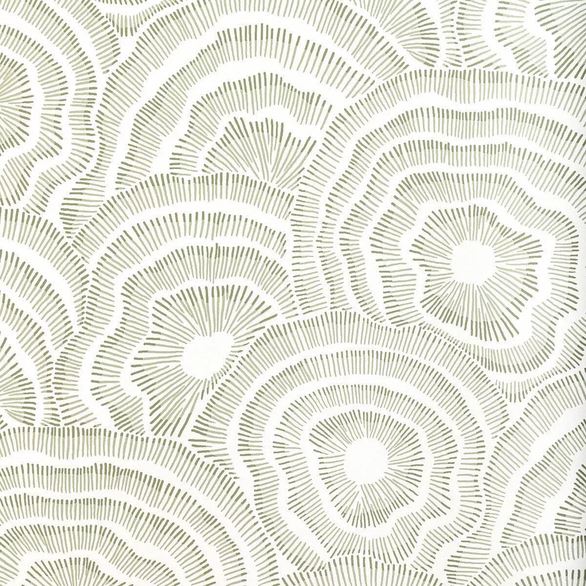 KRAVET COUTURE – PANACHE WP- LEAF – Wallcovering by the Roll – LEAF