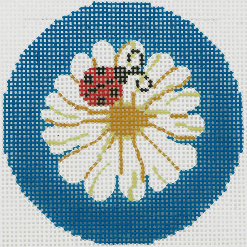 Ladybug on Daisy