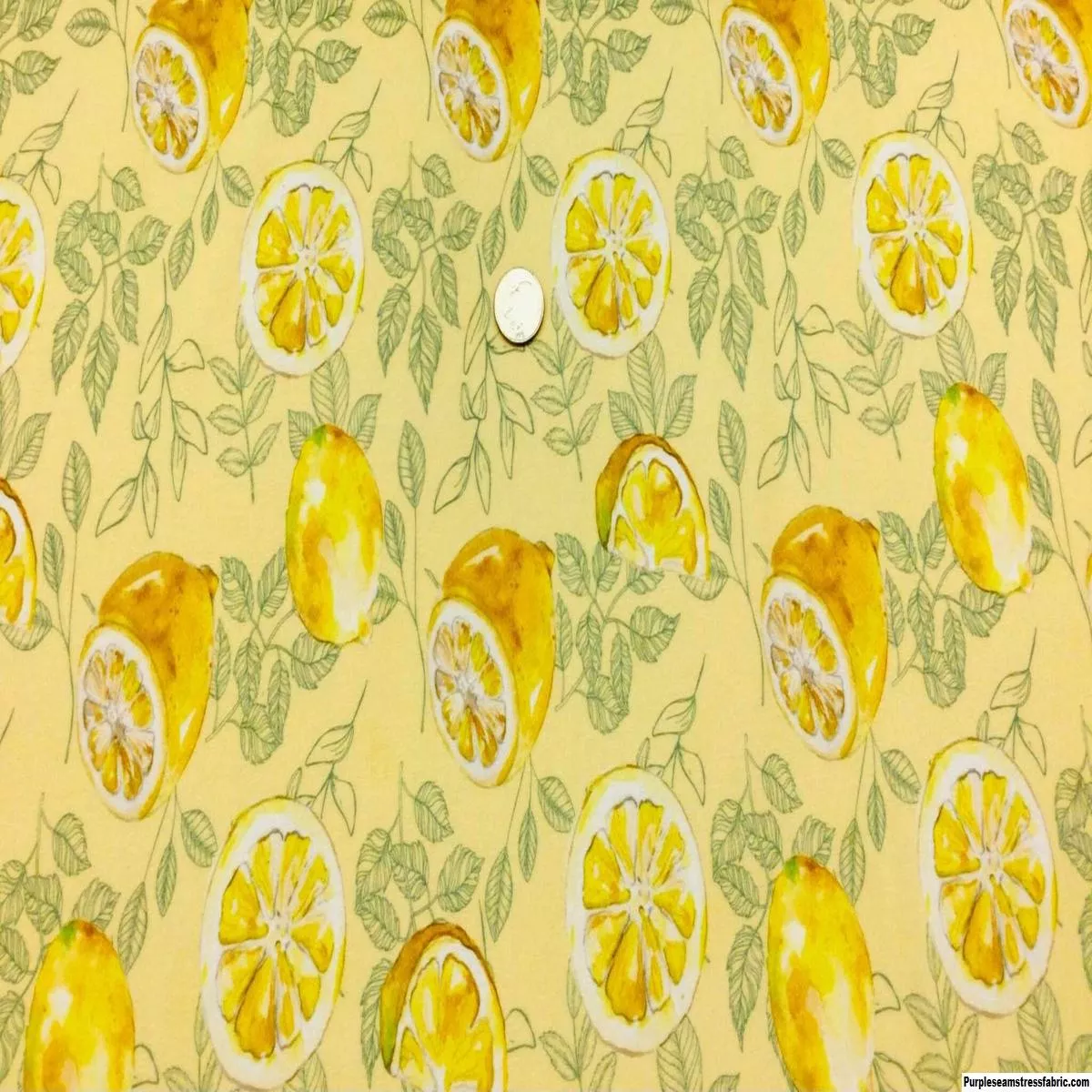 Lemon slicesSpandexFabric
