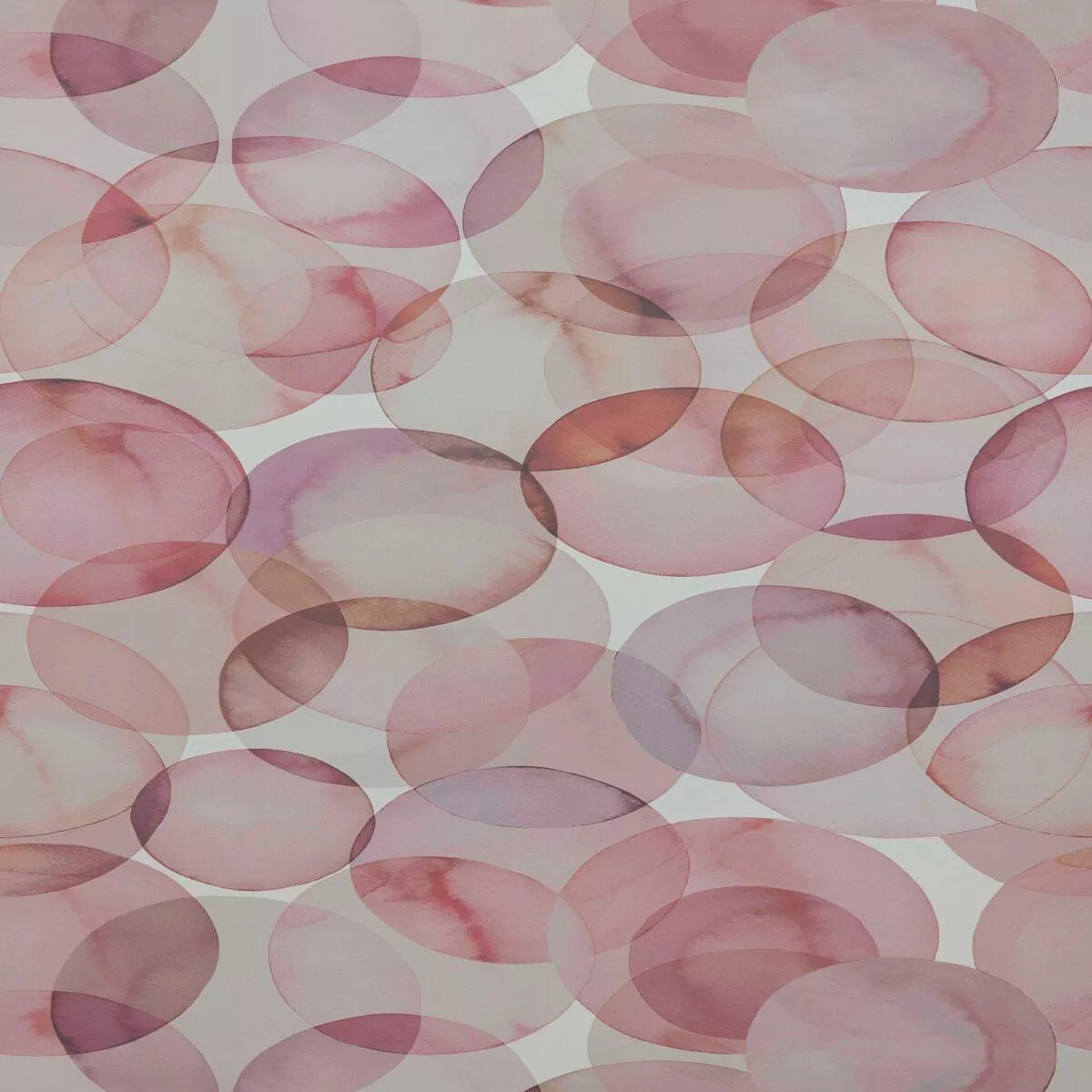 Maxwell – HONESTY (WP) – SHELL – Wallcovering by the 11 Yard Roll – 3 SHELL