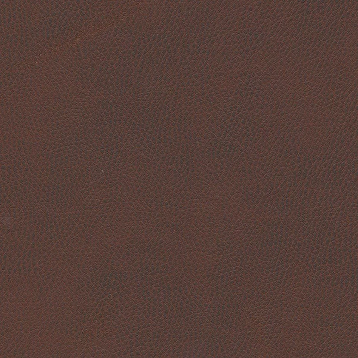 Maxwell – TOP GRAIN-NJ – HACKNEY – Fabric by the Yard – 847 HACKNEY