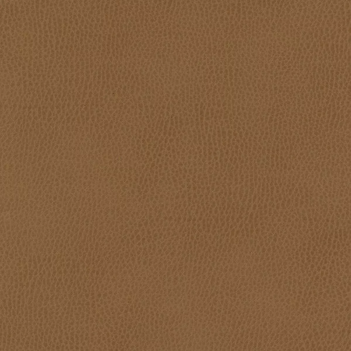 Maxwell – TOP GRAIN-NJ – PASO – Fabric by the Yard – 856 PASO