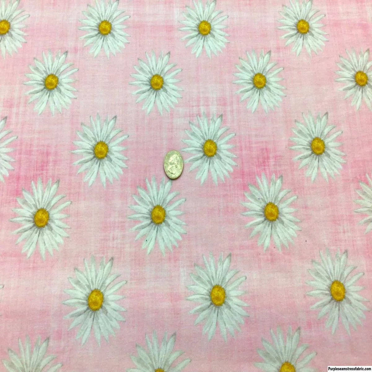 Oh, Daisy!Fabric