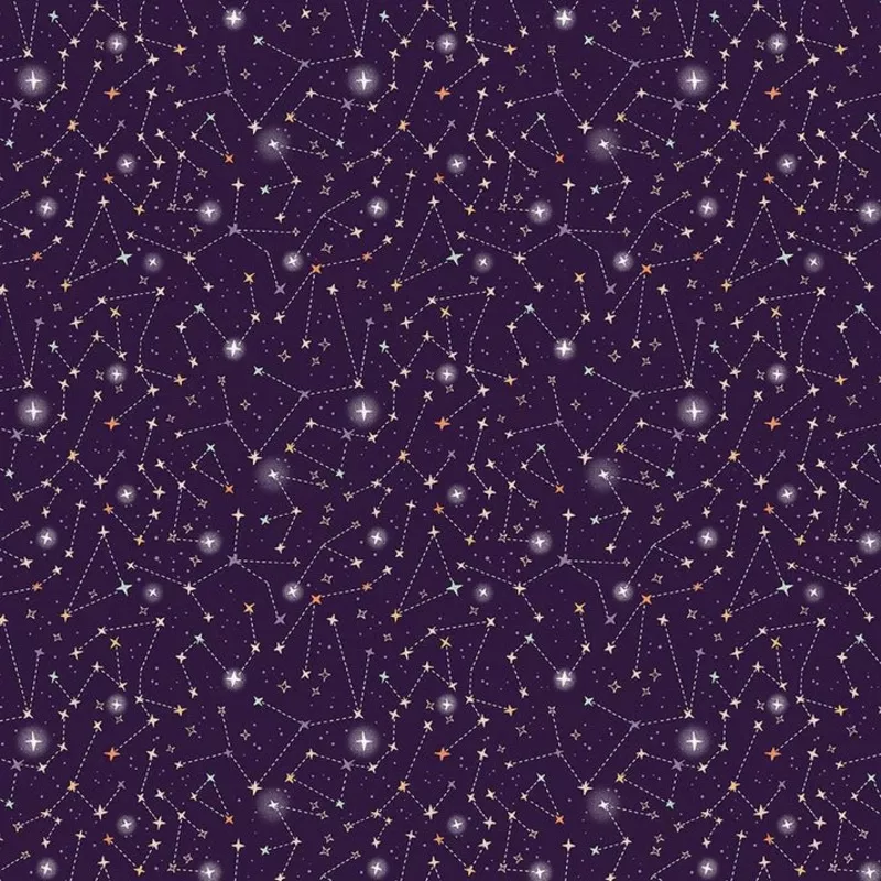 paintbrush studio fabrics | patchworkstoff | starlight spooks | night sky