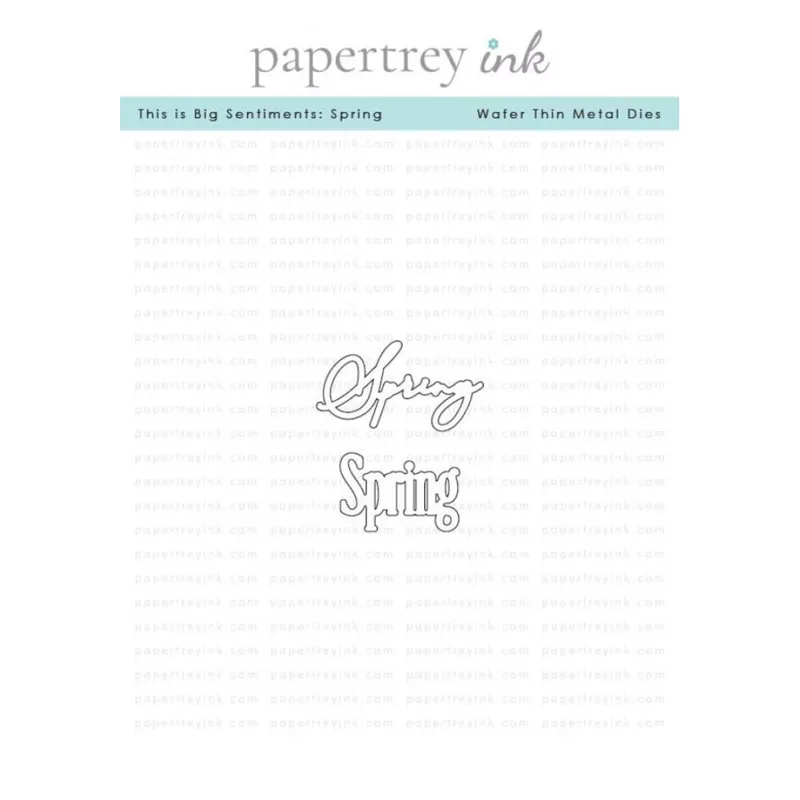 Papertrey Ink This is Big Sentiments Spring Die pti-1069