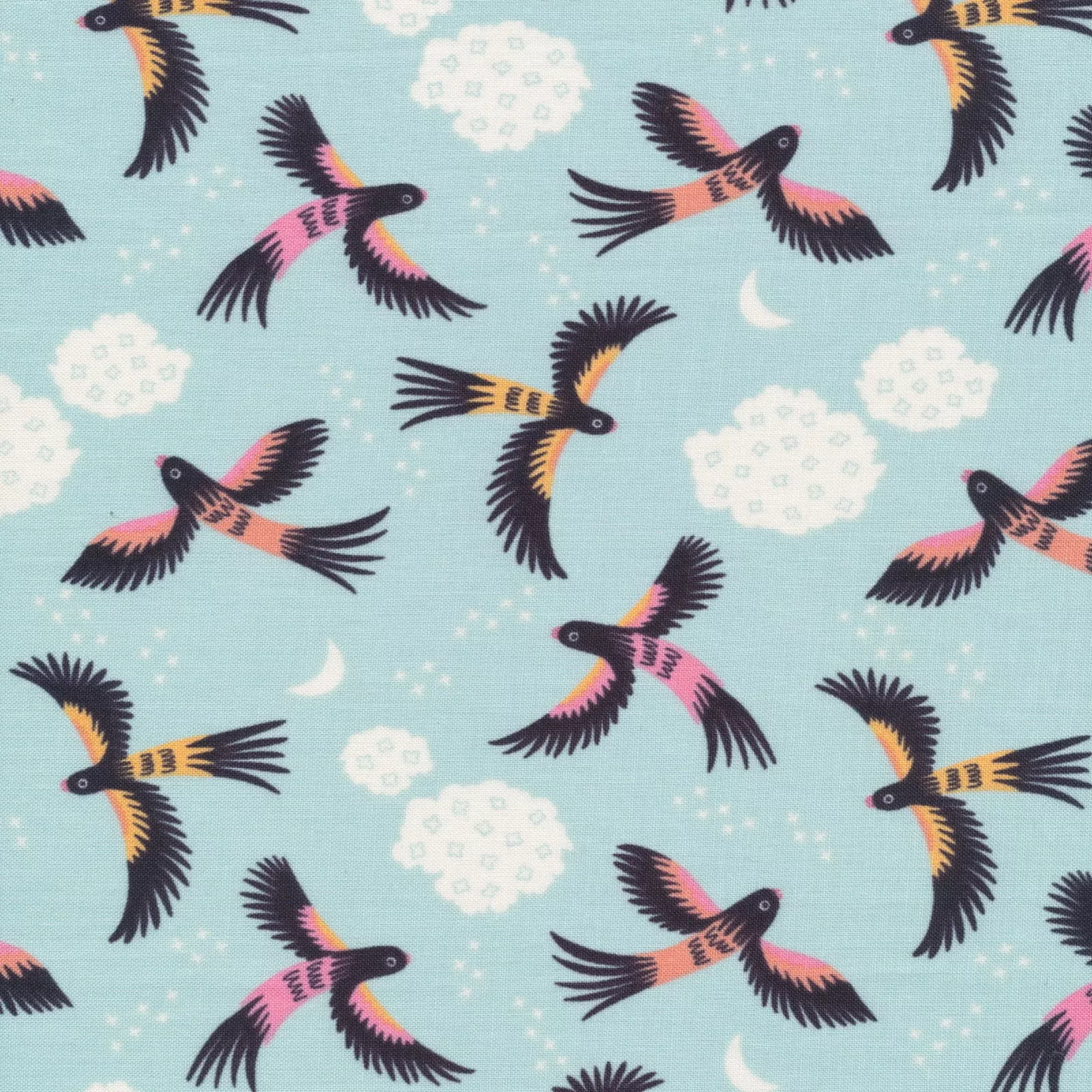 Parrot Play | Organic