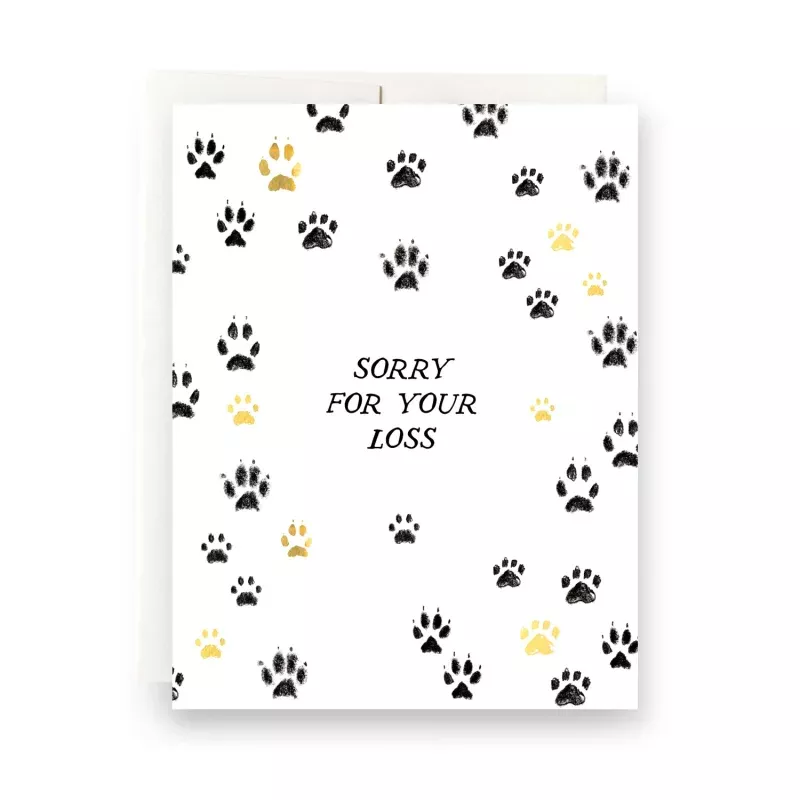 Paws Sorry for your Loss Greeting Card