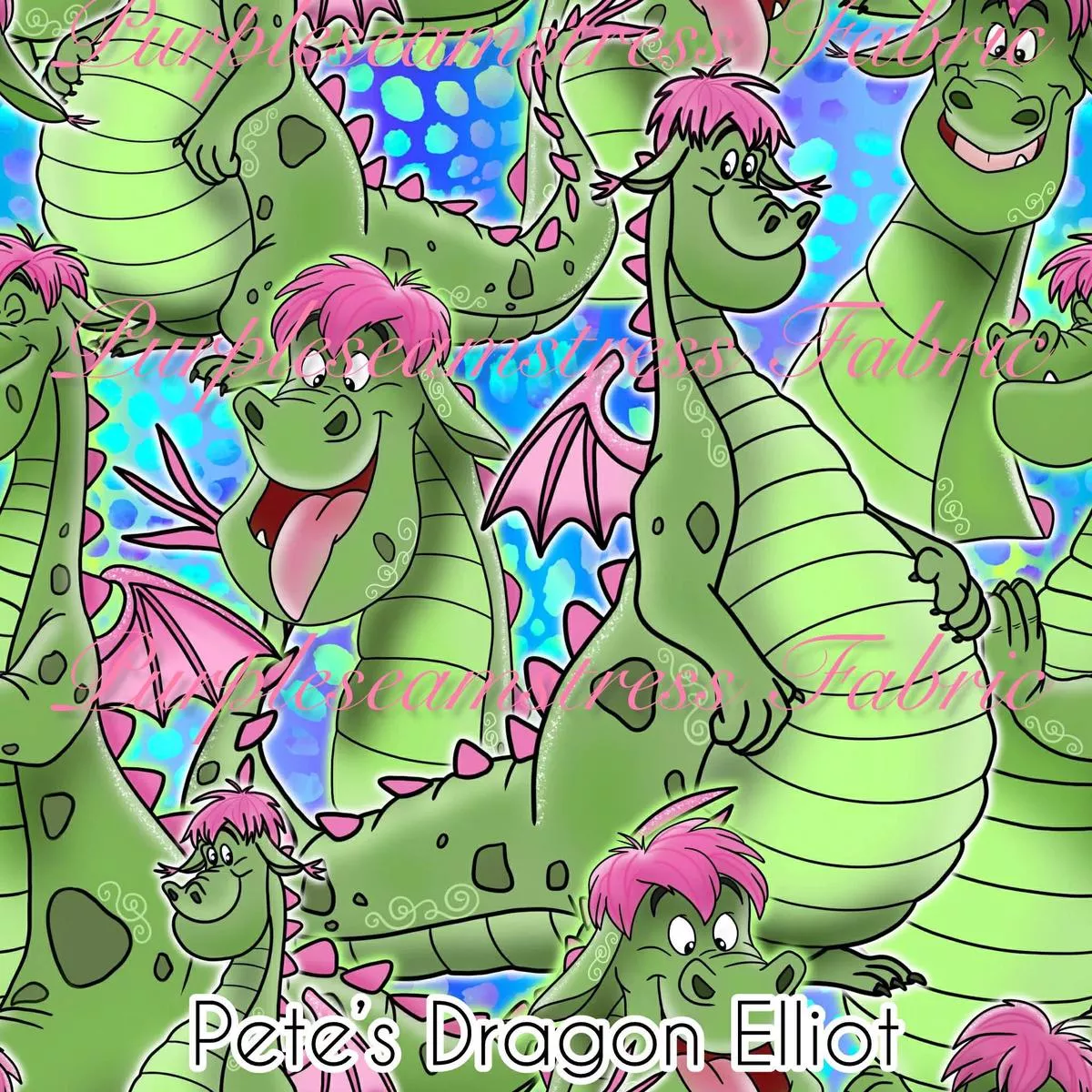 Petes Dragon ElliotFabri…