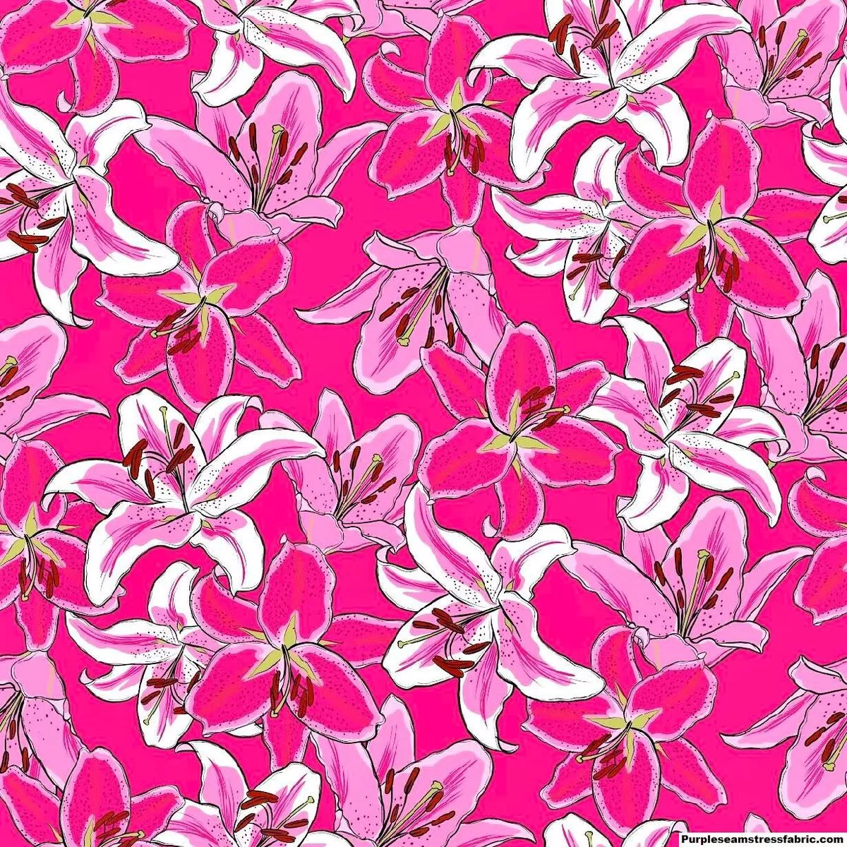 Pink StargazersFabric