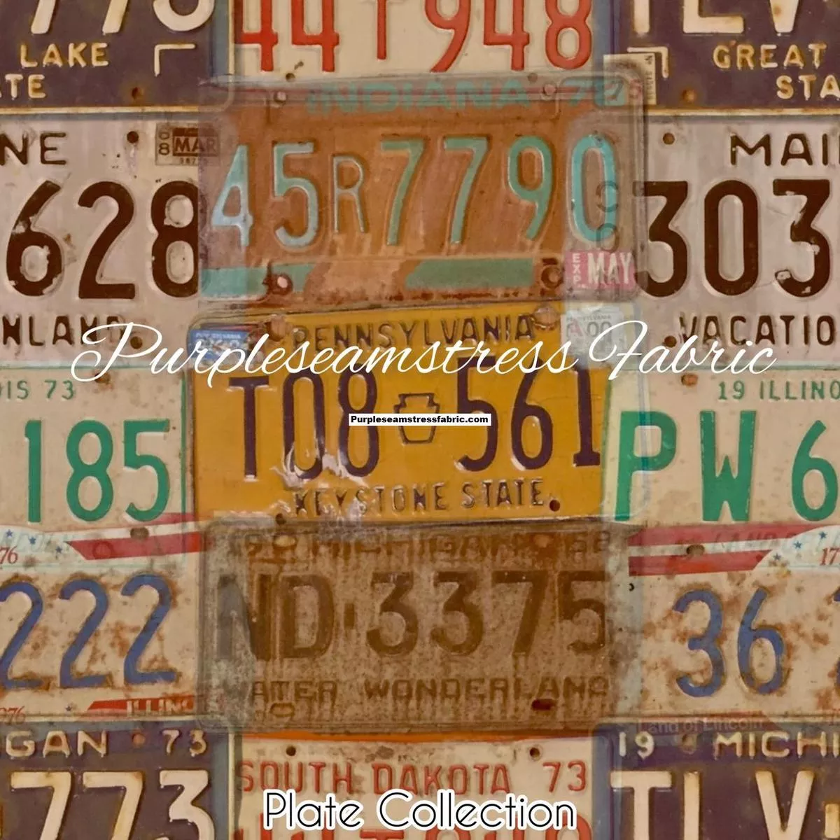 Plate CollectionFabric
