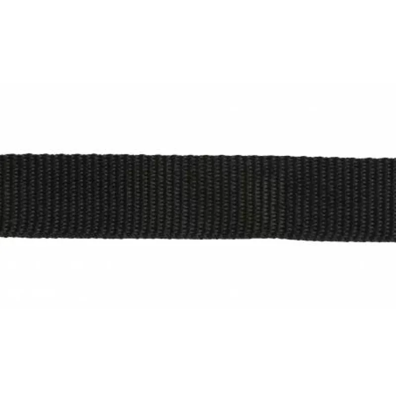 Polyester Webbing Black 1in Wide